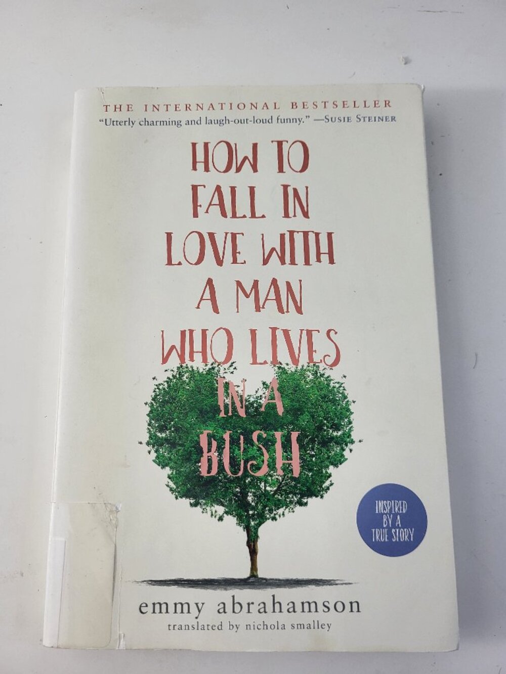 How to Fall in Love With a Man Who Lives in a Bush by Emmy Abrahamson Paperback